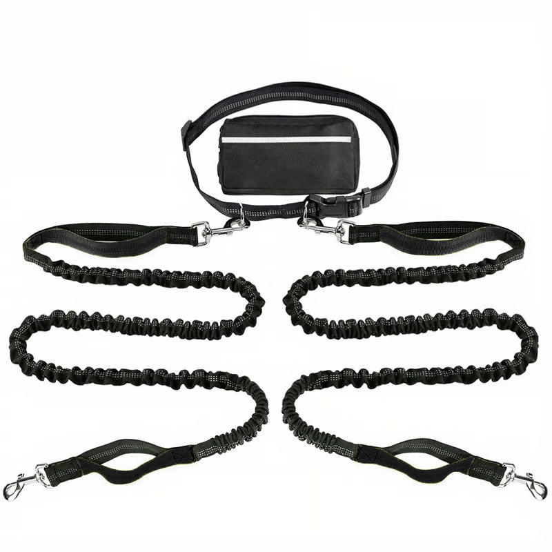 Hands-Free Dog Leash with Shock Absorbers and Storage Pouch