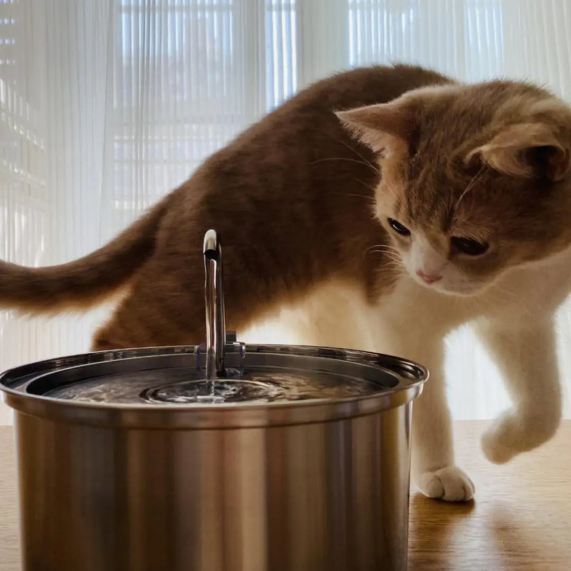 Stainless Steel Cat Water Fountain