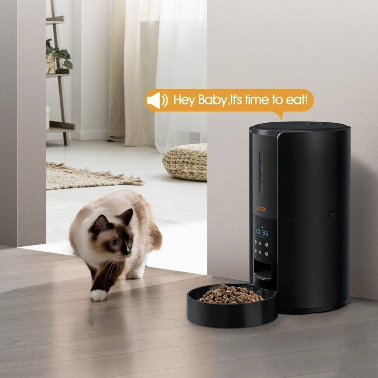 Premium Large Automatic Dog Cat Time Pet Food Feeder Dispenser