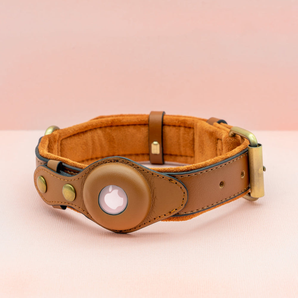 Premium Leather Airtag Dog Collar