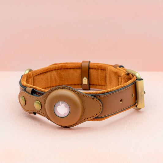 Premium Leather Airtag Dog Collar