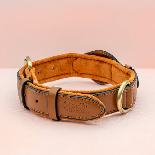 Premium Leather Airtag Dog Collar