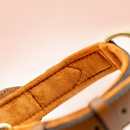 Premium Leather Airtag Dog Collar