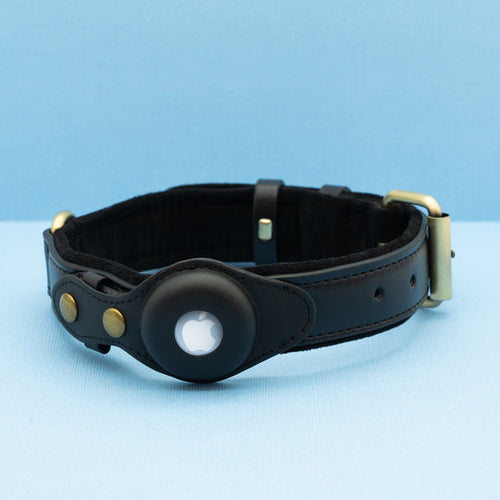 Premium Leather Airtag Dog Collar