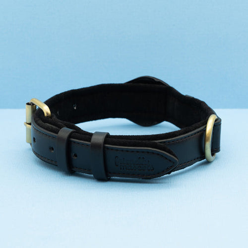 Premium Leather Airtag Dog Collar
