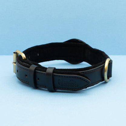 Premium Leather Airtag Dog Collar
