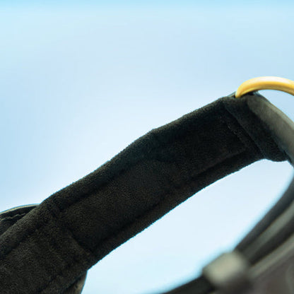 Premium Leather Airtag Dog Collar