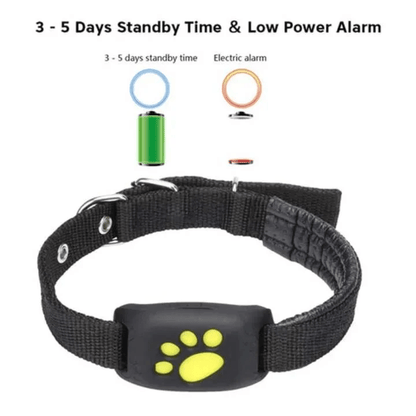 Smart Cat GPS Tracker Collar