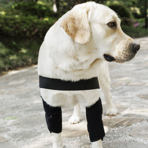 Adjustable Dog Elbow Protector - Canine Front Leg Brace