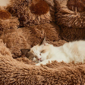 Warm and Fluffy Calming Dog & Cat Bed - Bear Paw-Shaped Pet Bed