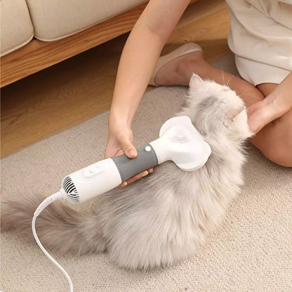 Blow Dryer for Pets