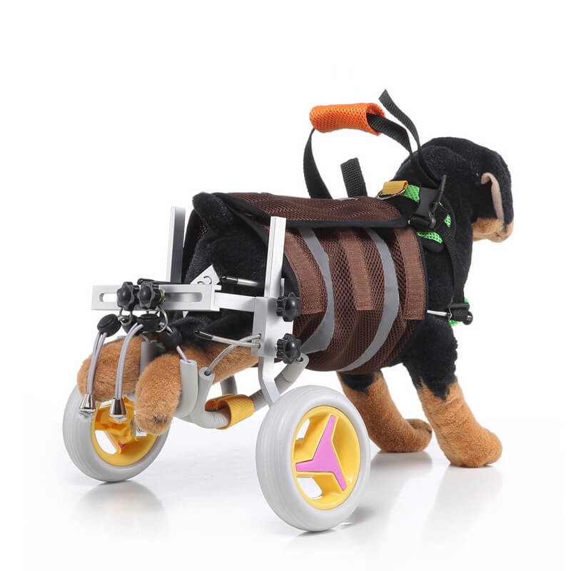 Disabled Dog Wheelchair for Back Legs