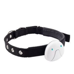 2-in-1 Smart Activity Pet Tracker Collar - Waterproof Pet GPS Locator