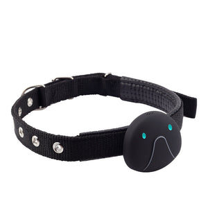 2-in-1 Smart Activity Pet Tracker Collar - Waterproof Pet GPS Locator