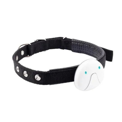 GPS Dog Tracker Collar with Voice Command