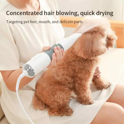 Blow Dryer for Pets