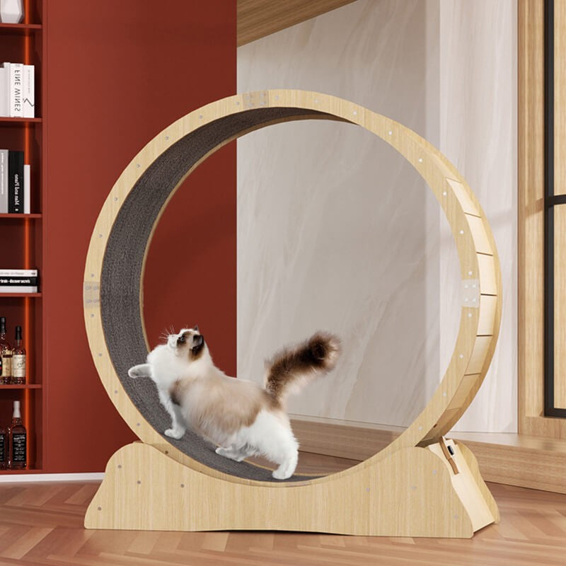 Cat Exercise Wheel With Lock Cat Treadmill