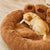 Warm and Fluffy Calming Dog & Cat Bed - Bear Paw-Shaped Pet Bed