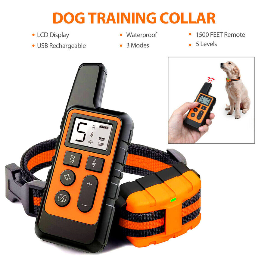 Dog Training Collar