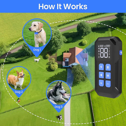 Wireless Dog Fence 2 in 1 Electric Fence For 3 Dogs Training Collar