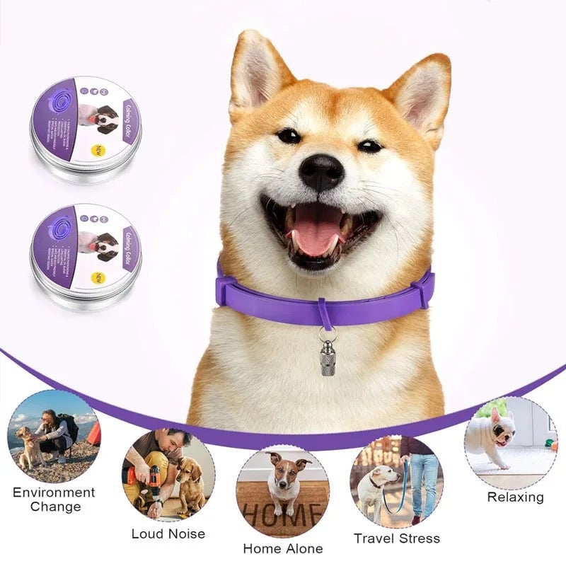 Pheromone calming collar for dogs and cats