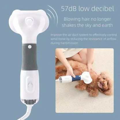 Blow Dryer for Pets