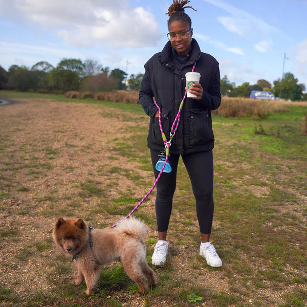 Hands free pet dog leash