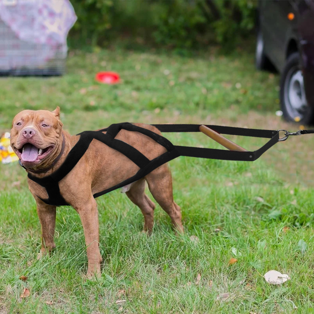 Durable Big Dog Weight Pulling Harness