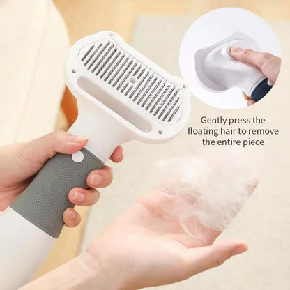 Blow Dryer for Pets