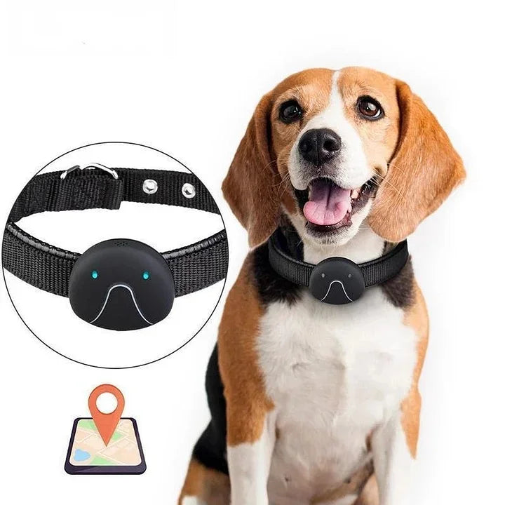 GPS Dog Tracker Collar with Voice Command