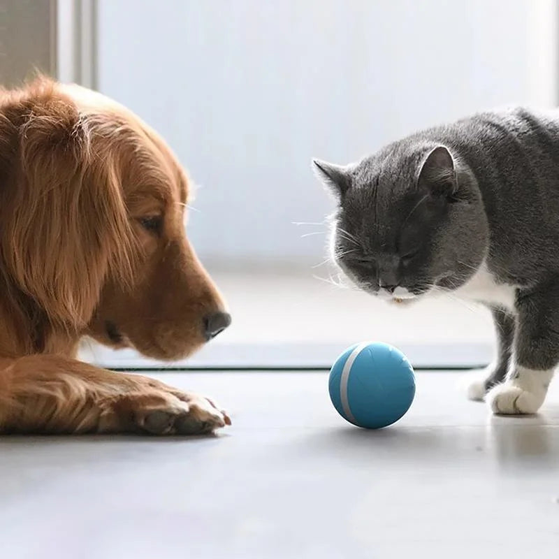 Magic Ball Pet Motion Toy