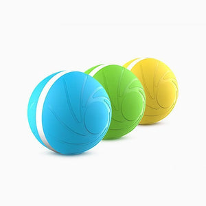 Magic Ball Pet Motion Toy