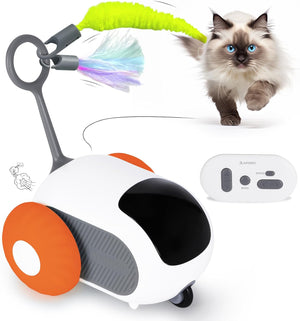 Smart Interactive Cat Toy - 2-Speed, Remote Control, USB Rechargeable, Exercise Toy for Indoor Cats & Kittens