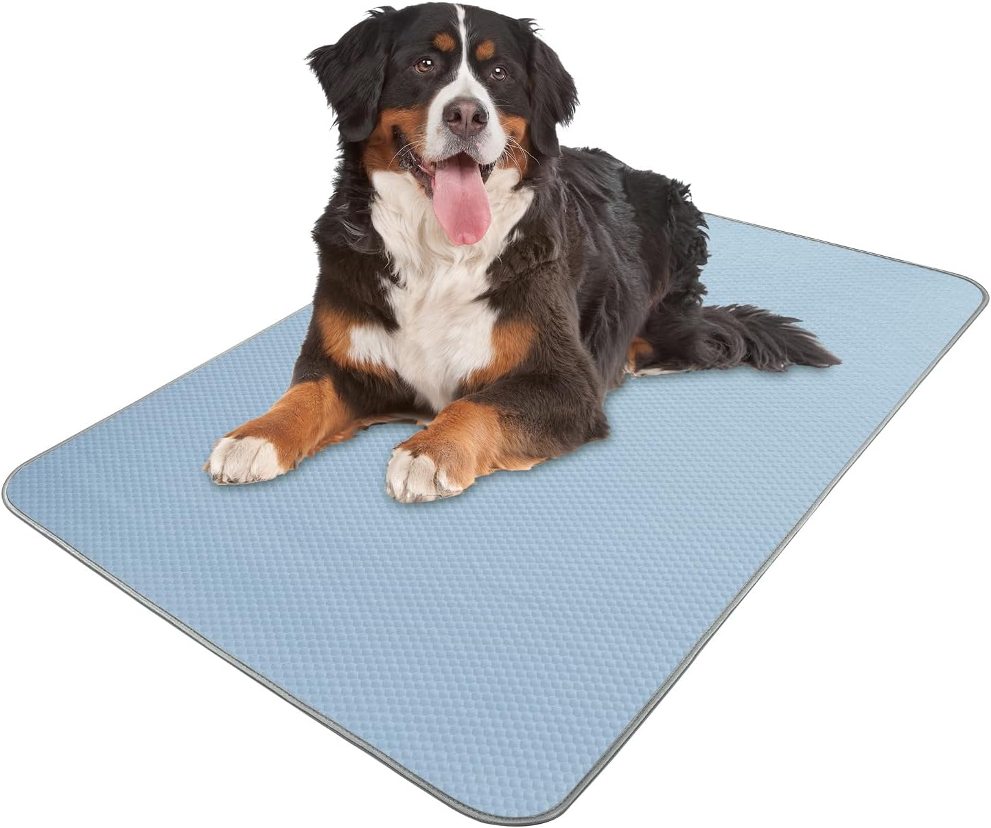 Washable Summer Dog Cooling Mat - Ice Silk, Self-Cooling Pad for Dogs & Cats