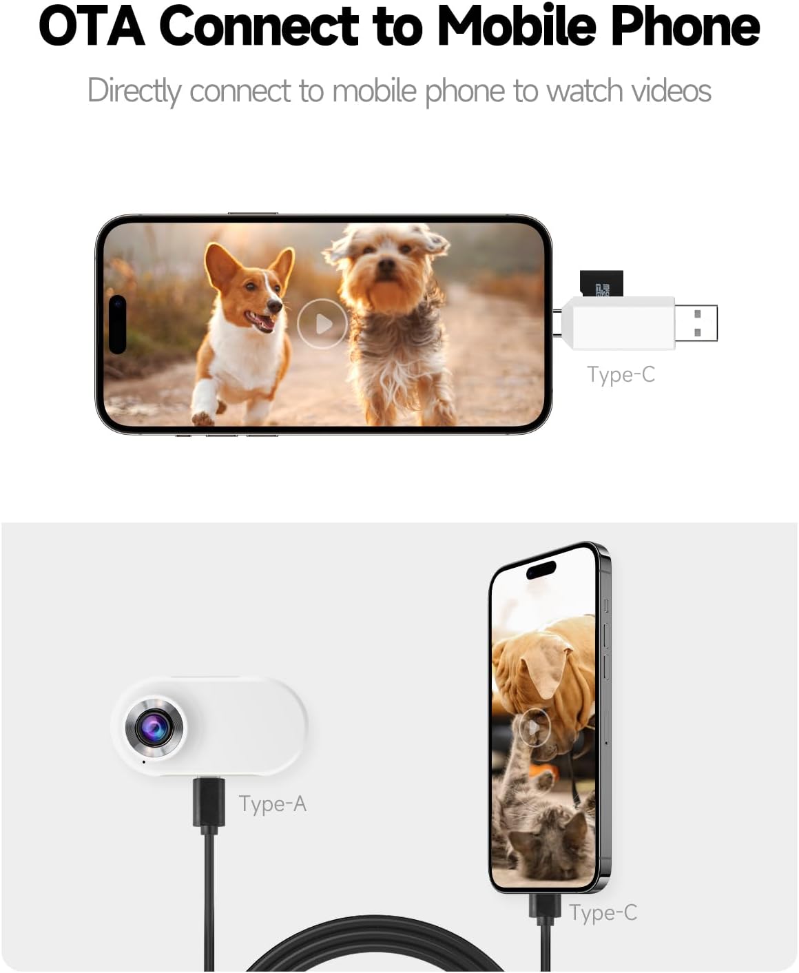 Cat Pet Collar Camera w/ Video and Photo Capabilities