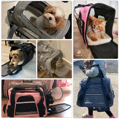 Airline-Approved Dog Carrier Backpack with Mesh Window: Portable Pet Transport Bag for Small Dogs