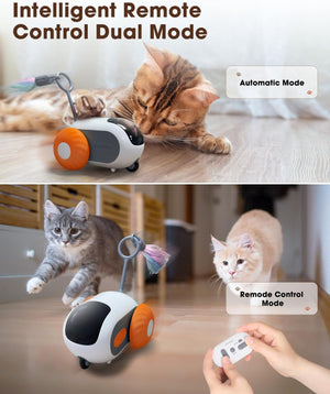 Smart Interactive Cat Toy - 2-Speed, Remote Control, USB Rechargeable, Exercise Toy for Indoor Cats & Kittens