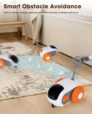 Smart Interactive Cat Toy - 2-Speed, Remote Control, USB Rechargeable, Exercise Toy for Indoor Cats & Kittens