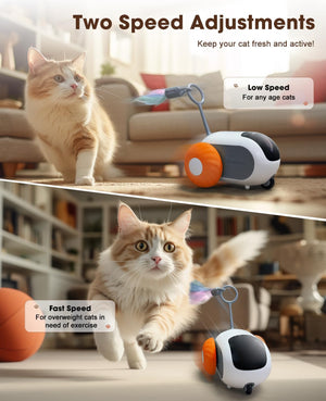 Smart Interactive Cat Toy - 2-Speed, Remote Control, USB Rechargeable, Exercise Toy for Indoor Cats & Kittens