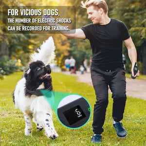 No Shock Rechargeable Water-Resistant Remote Control Collar - Sound & Vibration Only Training Collar