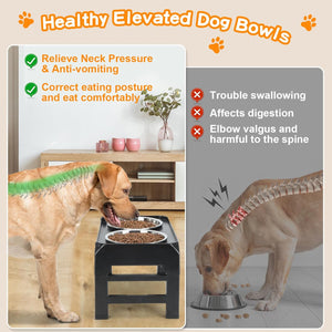Elevated Dog Bowl Feeders - 4 Height Adjustable Raised Dog Bowl Stand with 2 Thick 50oz Stainless Steel Dog Food Bowls