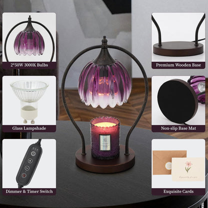 Electric Wax Candle Warmer Lamp with Timer for Decor Home Room