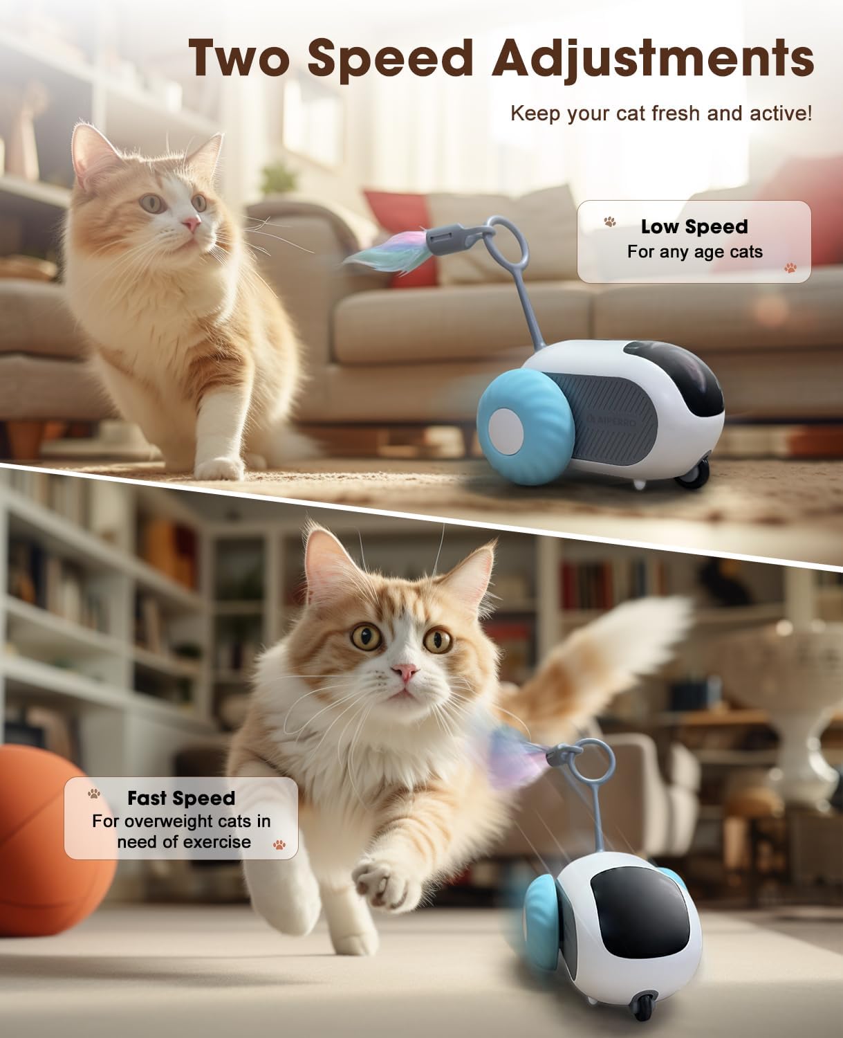 Smart Interactive Cat Toy - 2-Speed, Remote Control, USB Rechargeable, Exercise Toy for Indoor Cats & Kittens