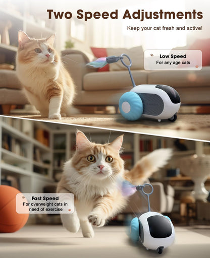 Smart Interactive Cat Toy - 2-Speed, Remote Control, USB Rechargeable, Exercise Toy for Indoor Cats & Kittens