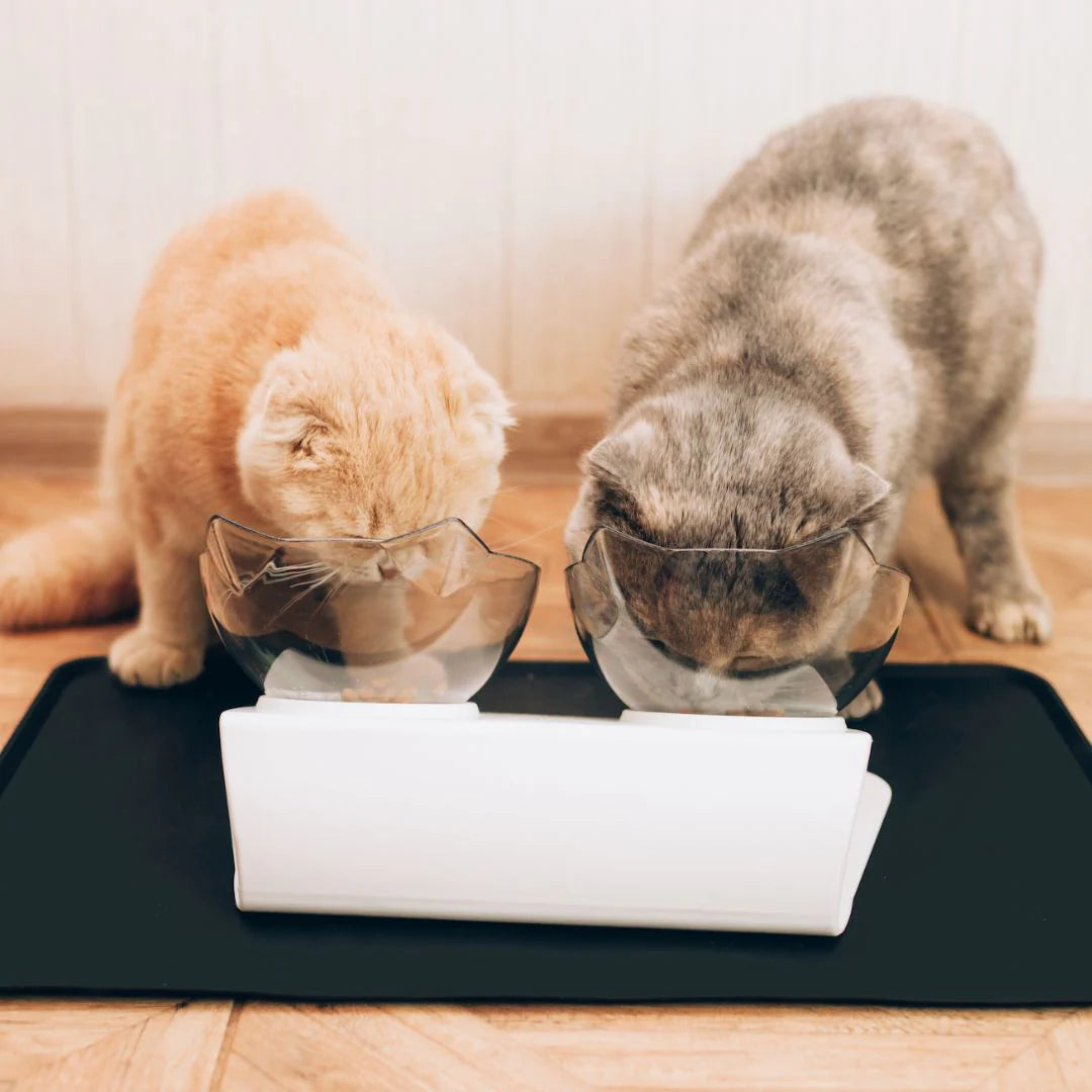 Anti-Vomiting Cat Feeder