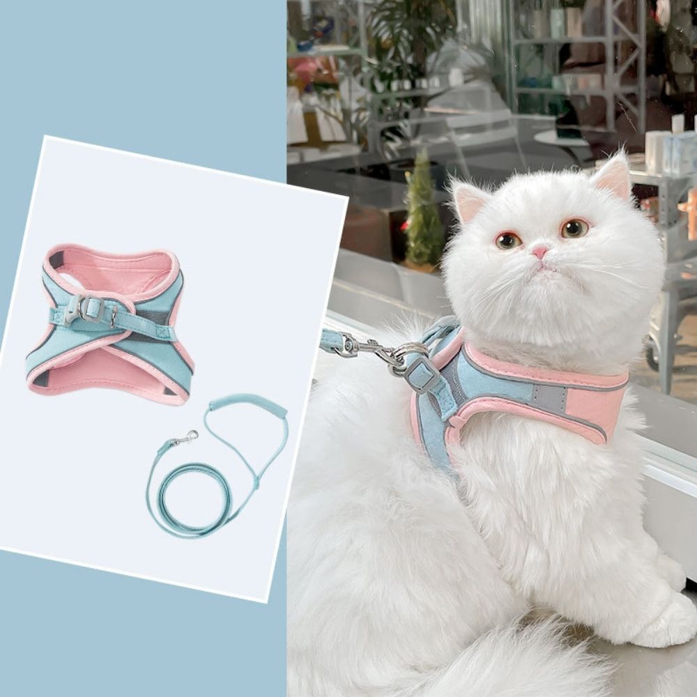 Pawfectly Safe™ Cat Harness And Leash Set