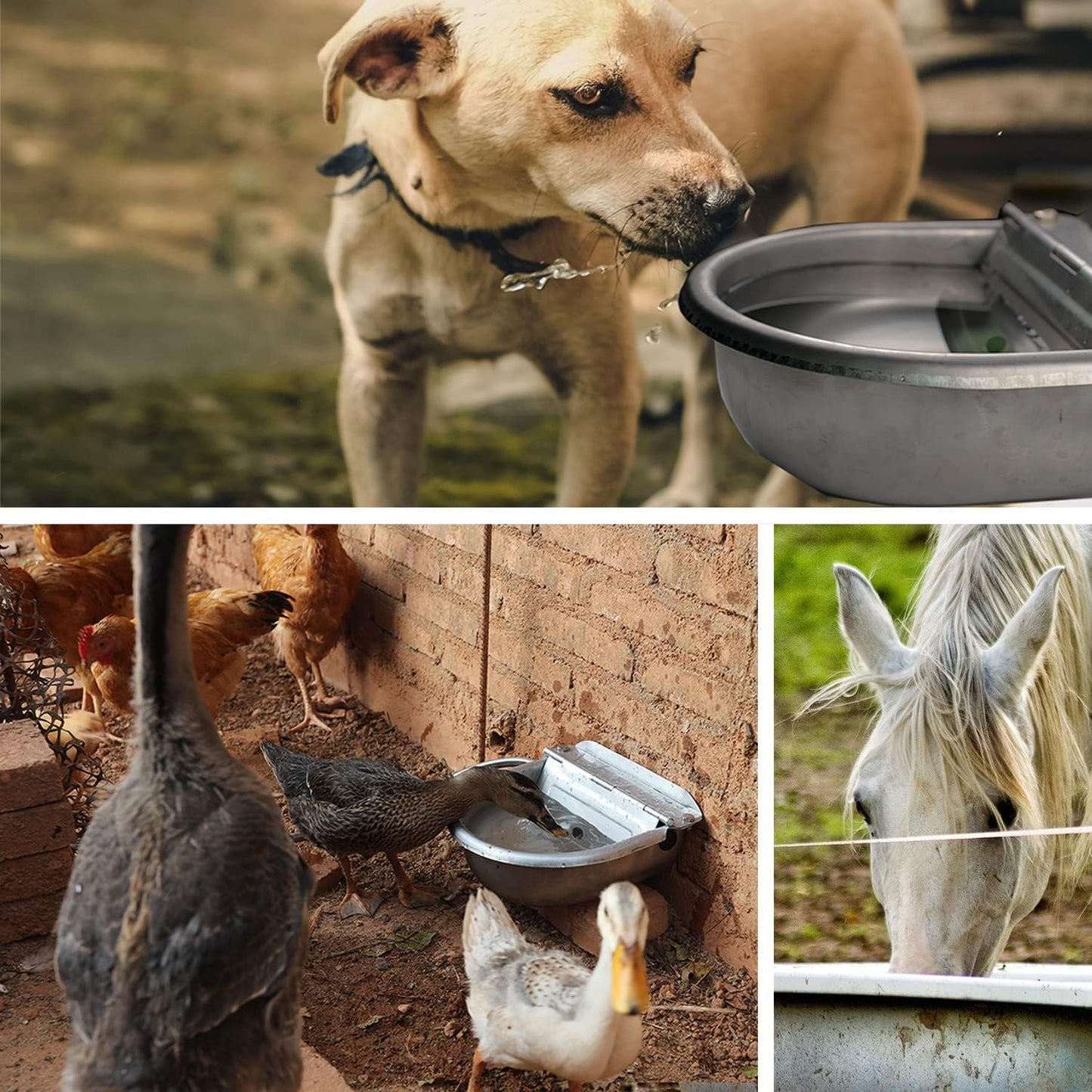 Automatic Water Bowl Dispenser for Dog Large Size Stainless-Steel Waterer Feeder Self Filling Trough for Poultry and Livestock