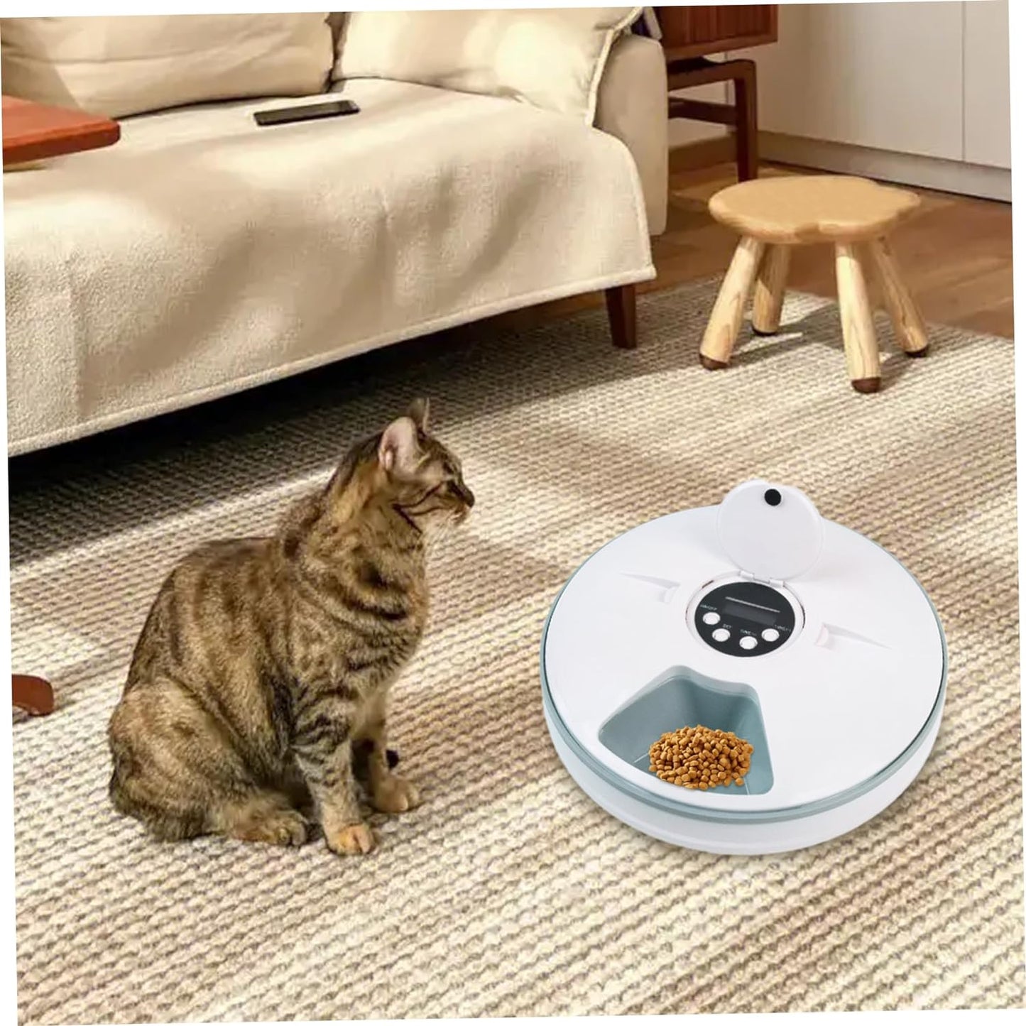 Automatic Cat Feeder - Battery-Powered 6 Grids Cordless Cat Food Dispenser with Timer