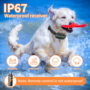 Dog Training Shock Collar - IP67 Waterproof Electric Dog Bark Collar with Remote