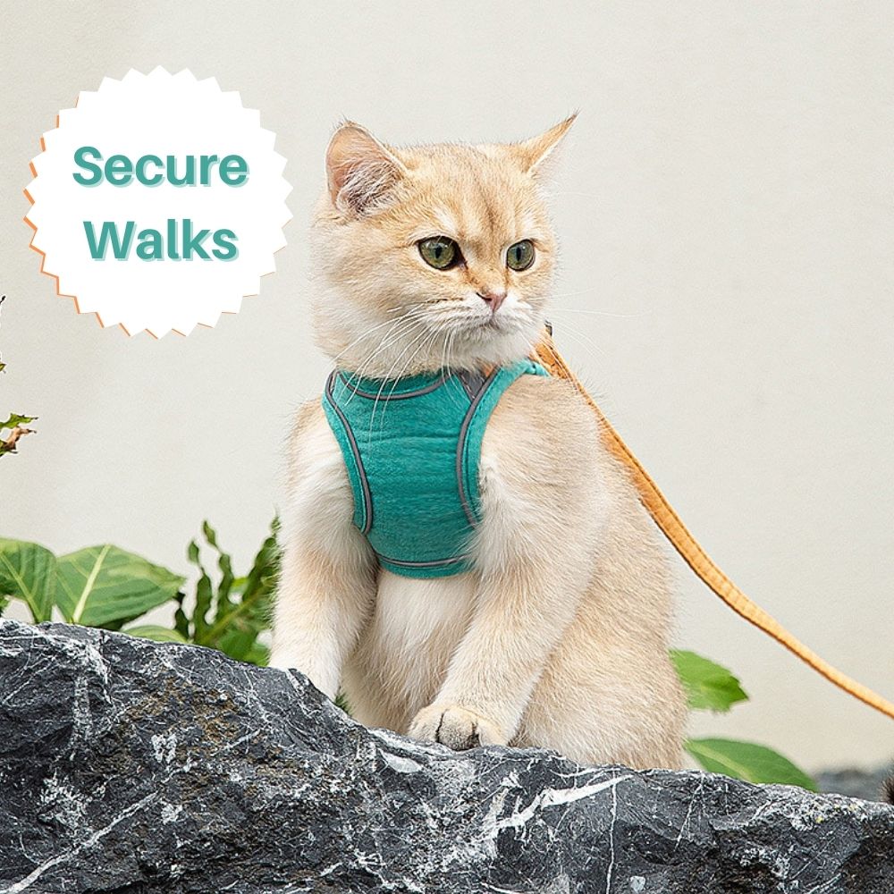 Pawfectly Safe™ Cat Harness And Leash Set